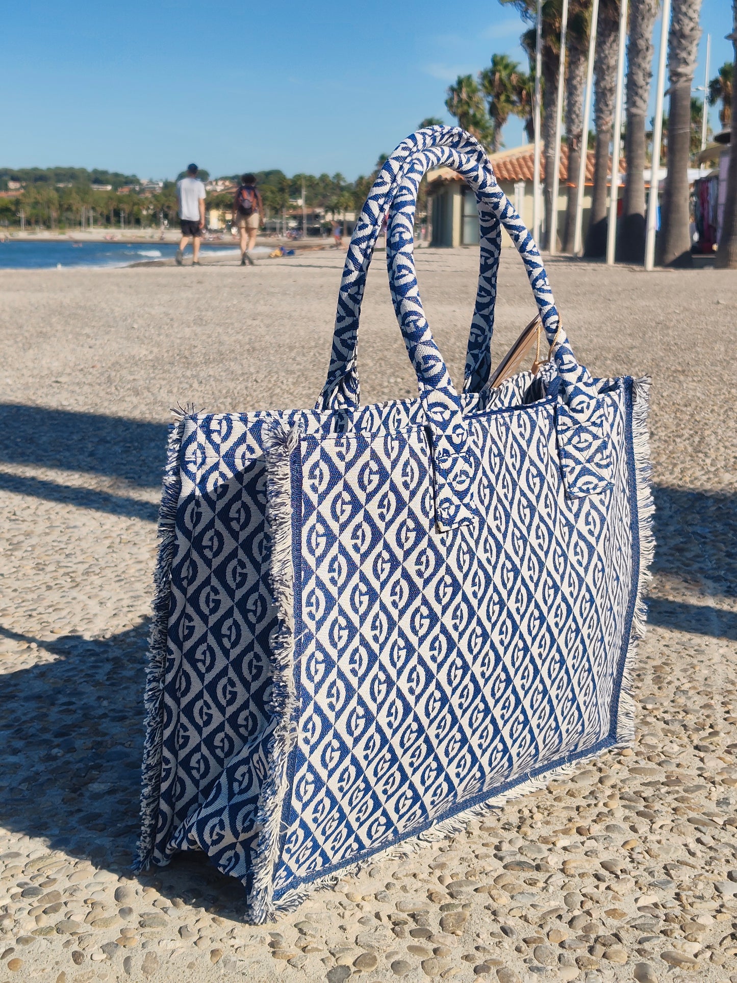 Sac Biscarosse